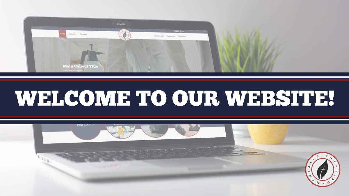 Welcome to Our Website! 